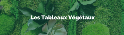 Tableaux Végétaux